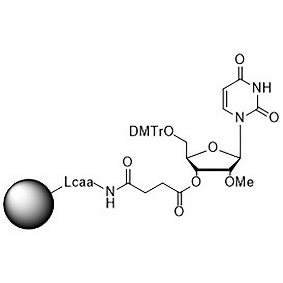 2'-O-Methyl-U-Suc-CPG, 500 Å, Standard Loading, 1 g